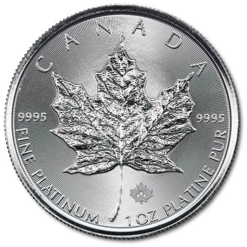 Platynowa moneta 1 oz Maple Leaf 2024 – rewers z liściem klonowym Platynowa moneta 1 oz Maple Leaf 2024 – rewers z liściem klonowym
