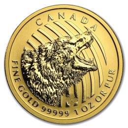 1 oz złota moneta Ryczący Grizzly 2016 w kapslu i pudełku – Royal Canadian Mint