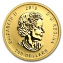 1 oz złota moneta Ryczący Grizzly 2016 w kapslu i pudełku – Royal Canadian Mint
