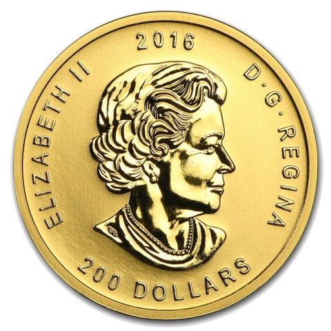 1 oz złota moneta Ryczący Grizzly 2016 w kapslu i pudełku – Royal Canadian Mint 1 oz złota moneta Ryczący Grizzly 2016 w kapslu i pudełku – Royal Canadian Mint