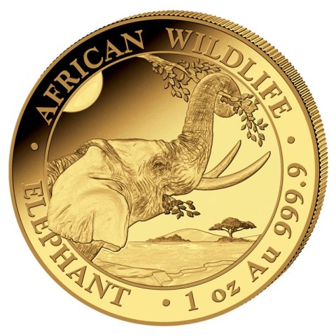 1 oz Somalia Elephant Gold Coin | 2023 1 oz Somalia Elephant Gold Coin | 2023