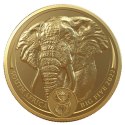 1 oz Wielka Piątka Afryki Słoń Złota Moneta | 2022