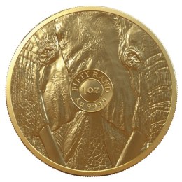 1 oz Wielka Piątka Afryki Słoń Złota Moneta | 2022