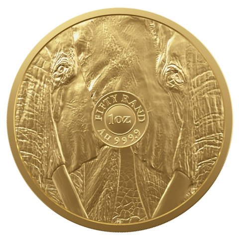 1 oz Wielka Piątka Afryki Słoń Złota Moneta | 2023 1 oz Wielka Piątka Afryki Słoń Złota Moneta | 2023