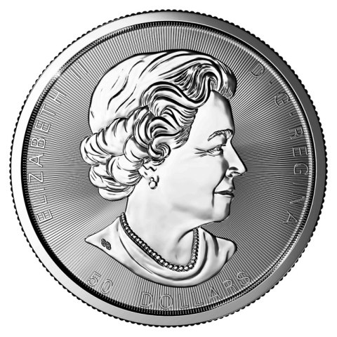 10 Uncji Wystawny Liść Klonowy Srebrna Moneta | Mieszane Roczniki 10 Uncji Wystawny Liść Klonowy Srebrna Moneta | Mieszane Roczniki