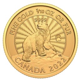 1/10 Uncji Majestic Polar Bear Złota Moneta | 2022