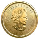 1/20 Uncji Liść Klonowy Złota Moneta | 2023