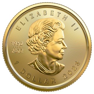 1/20 Uncji Liść Klonowy Złota Moneta | 2023