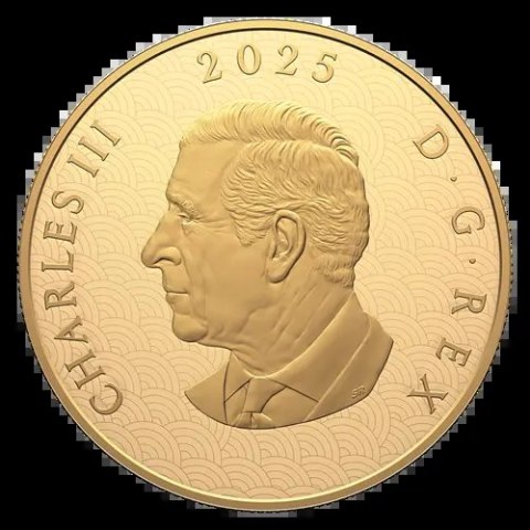 1 kg złota moneta Rok Węża 2025 – Lunar z Królewskiej Mennicy Kanadyjskiej w pudełku prezentowym 1 kg złota moneta Rok Węża 2025 – Lunar z Królewskiej Mennicy Kanadyjskiej w pudełku prezentowym