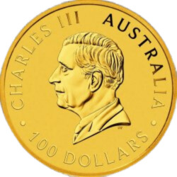 1 oz Australijski Kangur Złota Moneta | 2025