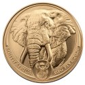 1 oz Wielka Piątka Afryki Słoń Złota Moneta | 2024