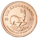 1/10 oz Krugerrand Złota Moneta | 2025