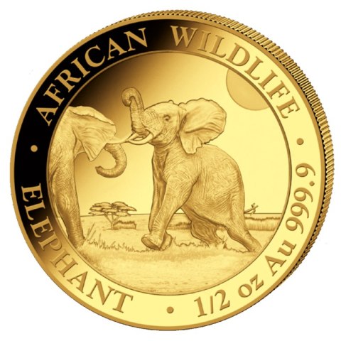 1/2 oz Słoń Somalijski Złota Moneta | 2024 1/2 oz Słoń Somalijski Złota Moneta | 2024