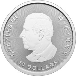 2 oz Gęś Kanadyjska Srebrna Moneta | 2025