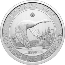2 oz Gęś Kanadyjska Srebrna Moneta | 2025