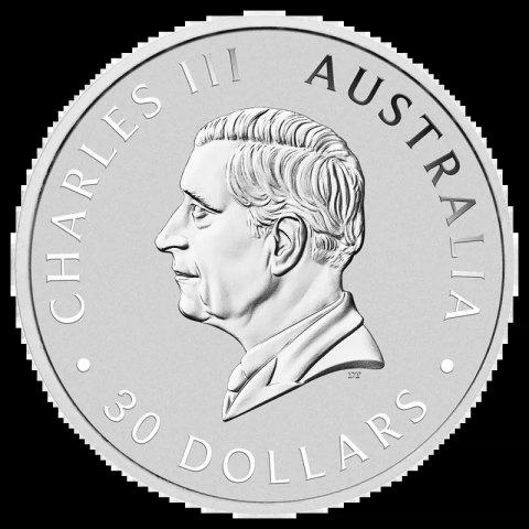 1 Kilogram Koala Srebrna Moneta | 2025 1 Kilogram Koala Srebrna Moneta | 2025