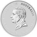1 kg srebrna moneta Lunar III Rok Węża 2025 w kapslu ochronnym – Perth Mint