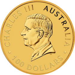 Złota moneta 1 oz Emu 2025 Perth Mint – australijska moneta inwestycyjna z emu, próba 999,9
