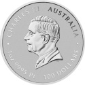 1 oz platynowa moneta Lunar III Rok Konia 2026
