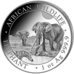 1 oz Słoń Somalijski Srebrna Moneta | 2026