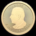 1/10 Uncja Liść Klonowy Złota Moneta | Uszkodzona