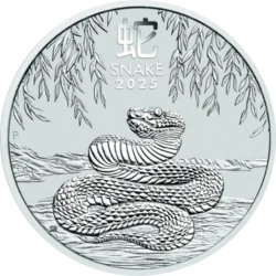 1/2 Uncji Lunar III Rok Wąż Srebrna Moneta | 2025