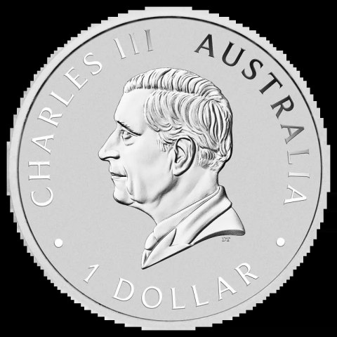 1 oz Koala Srebrna Moneta | 2025