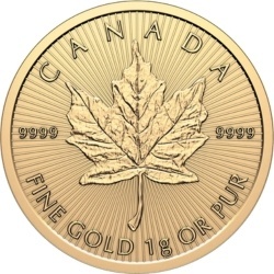 25 x 1g Liść Klonowy MapleGram Złote Monety | 2026