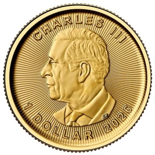 1/20 oz Liść Klonowy Złota Moneta | 2026